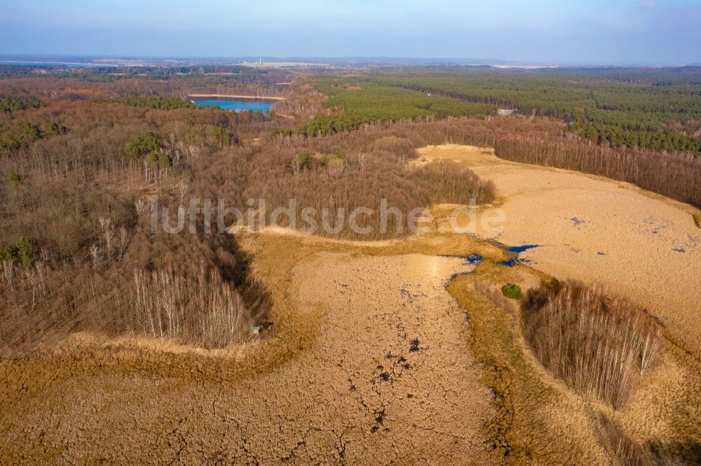 Luftbild Joachimsthal - Verlandung und Austrocknung des See Flacher Bugsinsee in Althüttendorf im Bundesland Brandenburg, Deutschland