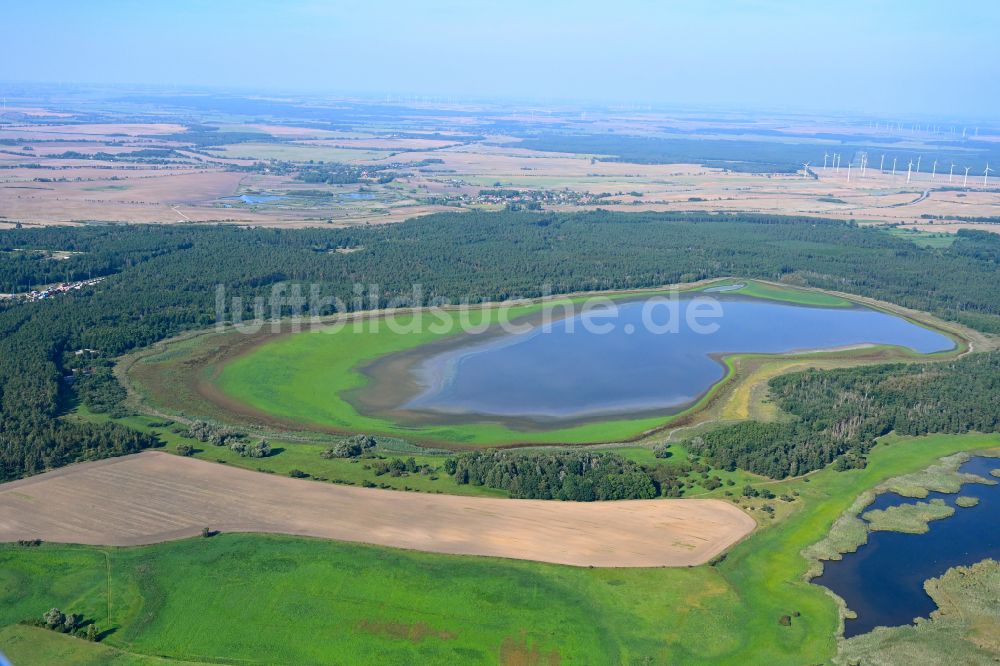 Luftbild Schwedt/Oder - Verlandung und Austrocknung des See Der große Felchowsee in Schwedt/Oder im Bundesland Brandenburg, Deutschland