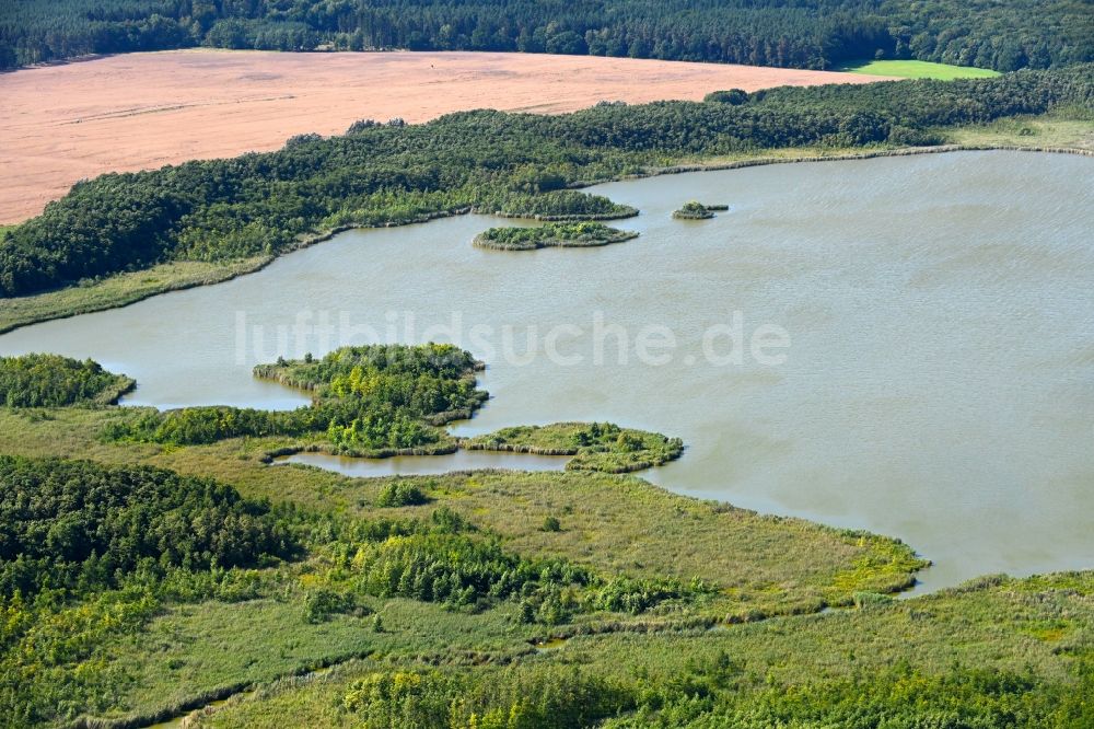 Luftbild Mönchshof - Verlandung und Austrocknung des See Mönchsee in Mönchshof im Bundesland Mecklenburg-Vorpommern, Deutschland