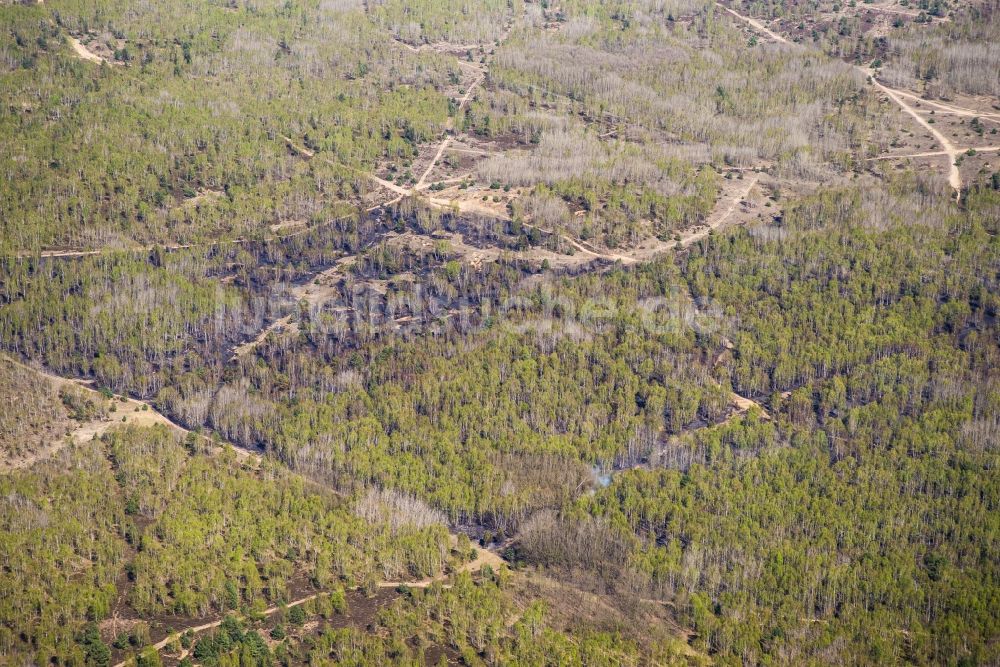 Jüterbog von oben - Vernichteter Baumbestand in einem Waldgebiet in Jüterbog im Bundesland Brandenburg, Deutschland