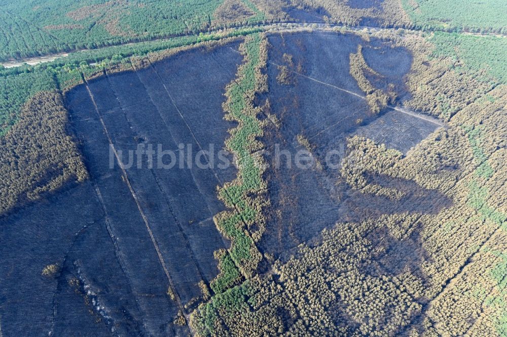 Klausdorf aus der Vogelperspektive: Vernichteter Baumbestand in einem Waldgebiet in Klausdorf im Bundesland Brandenburg, Deutschland