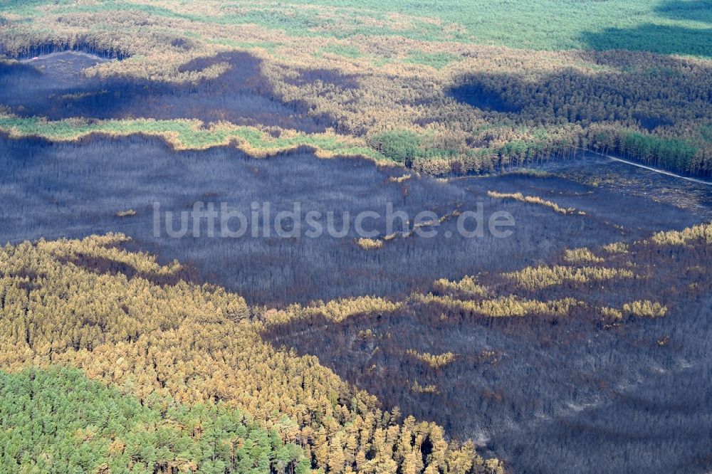 Luftaufnahme Klausdorf - Vernichteter Baumbestand in einem Waldgebiet in Klausdorf im Bundesland Brandenburg, Deutschland