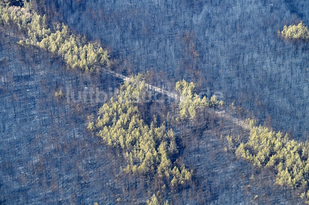 Luftbild Klausdorf - Vernichteter Baumbestand in einem Waldgebiet in Klausdorf im Bundesland Brandenburg, Deutschland