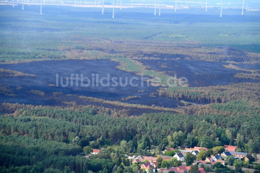 Klausdorf aus der Vogelperspektive: Vernichteter Baumbestand in einem Waldgebiet in Klausdorf im Bundesland Brandenburg, Deutschland