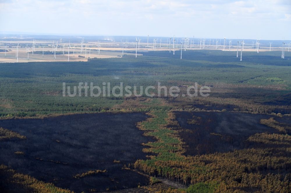 Klausdorf von oben - Vernichteter Baumbestand in einem Waldgebiet in Klausdorf im Bundesland Brandenburg, Deutschland