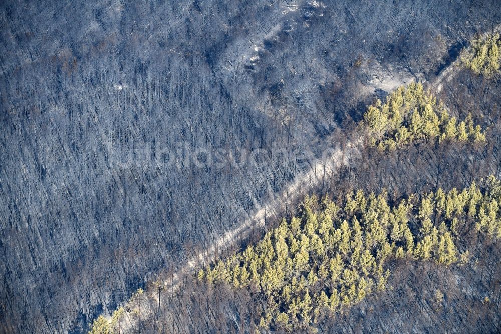 Luftbild Klausdorf - Vernichteter Baumbestand in einem Waldgebiet in Klausdorf im Bundesland Brandenburg, Deutschland