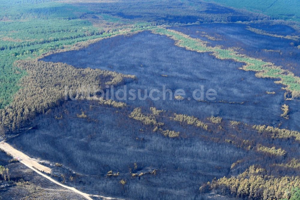 Klausdorf von oben - Vernichteter Baumbestand in einem Waldgebiet in Klausdorf im Bundesland Brandenburg, Deutschland
