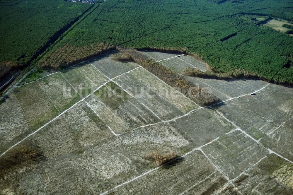 Luftbild Klausdorf - Vernichteter Baumbestand in einem Waldgebiet in Treuenbrietzen im Bundesland Brandenburg, Deutschland