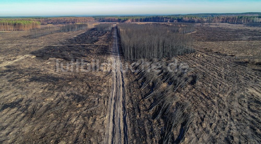 Klausdorf aus der Vogelperspektive: Vernichteter Baumbestand in einem Waldgebiet in Treuenbrietzen im Bundesland Brandenburg, Deutschland