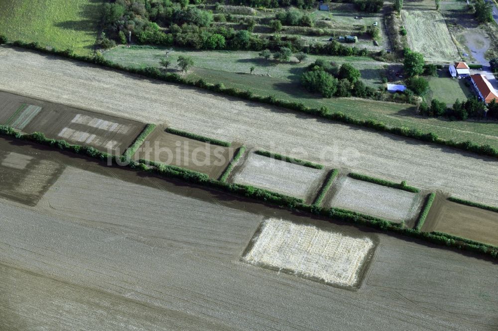 Luftaufnahme Quedlinburg - Versuchsfeld - Strukturen auf landwirtschaftlichen Feldern in Quedlinburg im Bundesland Sachsen-Anhalt, Deutschland