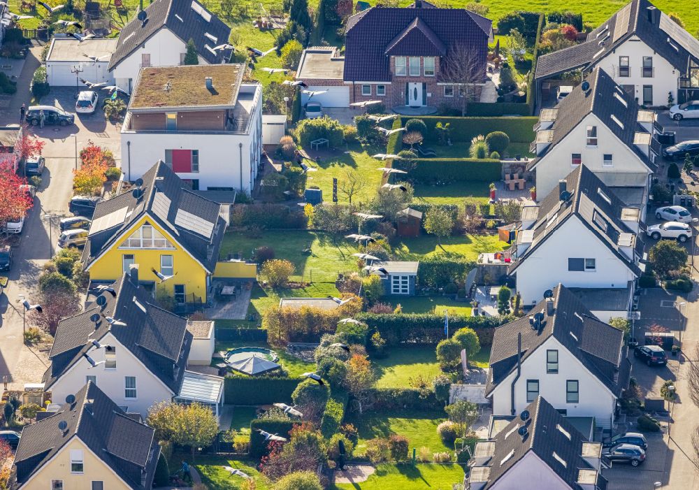 Luftaufnahme Bochum - Vogel- Formation von Kranichen im Flug über der Einfamilienhaussiedlung mit Gärten in Bochum im Bundesland Nordrhein-Westfalen, Deutschland
