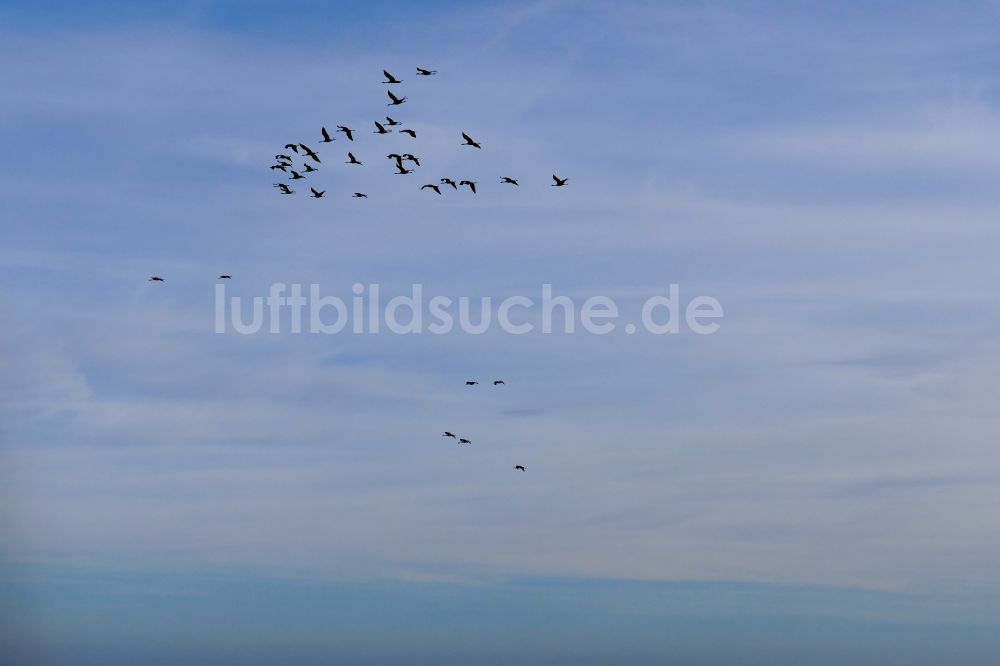 Luftbild Wesertal - Vogel- Formation von Kranichen im Flug in Wesertal im Bundesland Hessen, Deutschland