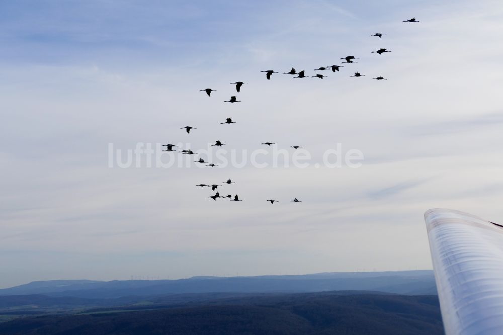 Wesertal aus der Vogelperspektive: Vogel- Formation von Kranichen im Flug in Wesertal im Bundesland Hessen, Deutschland