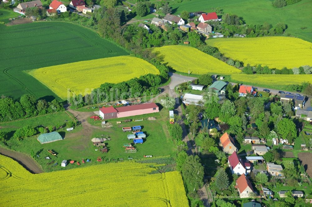 Luftbild Wriezen Ortsteil Biesdorf - Von blühenden gelben Rapsfeldern umgebener Dorfkern der Ortschaft Biesdorf, einem Ortsteil von Wriezen im Bundesland Brandenburg