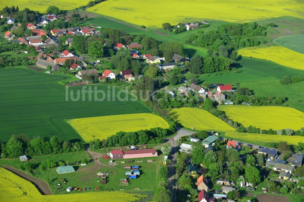 Luftaufnahme Wriezen Ortsteil Biesdorf - Von blühenden gelben Rapsfeldern umgebener Dorfkern der Ortschaft Biesdorf, einem Ortsteil von Wriezen im Bundesland Brandenburg