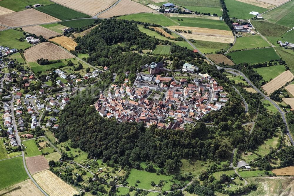Luftbild Amöneburg - Von Wald umgebene Ortsansicht in Amöneburg im Bundesland Hessen, Deutschland