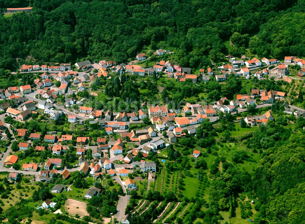 Luftaufnahme Dannenfels - Von Wald umgebene Ortsansicht in Dannenfels im Bundesland Rheinland-Pfalz, Deutschland
