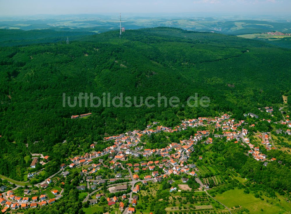 Dannenfels von oben - Von Wald umgebene Ortsansicht in Dannenfels im Bundesland Rheinland-Pfalz, Deutschland
