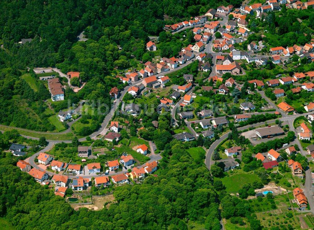 Luftbild Dannenfels - Von Wald umgebene Ortsansicht in Dannenfels im Bundesland Rheinland-Pfalz, Deutschland