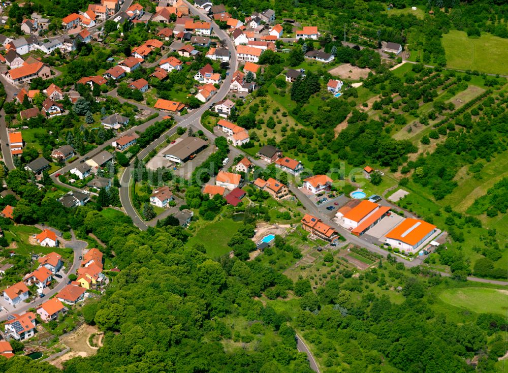 Luftaufnahme Dannenfels - Von Wald umgebene Ortsansicht in Dannenfels im Bundesland Rheinland-Pfalz, Deutschland