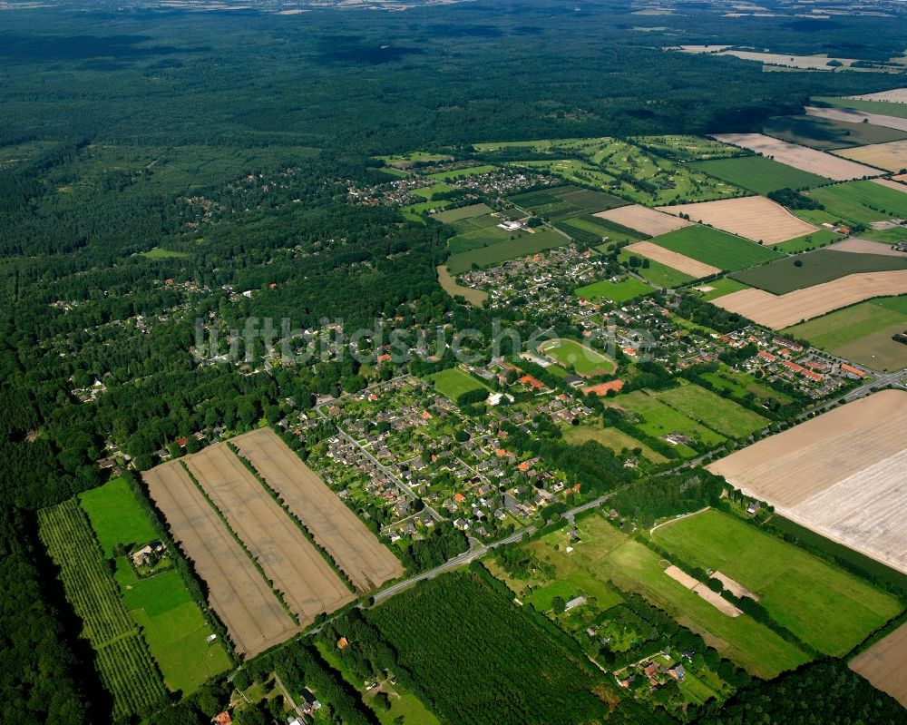 Dassendorf Siedlung von oben - Von Wald umgebene Ortsansicht in Dassendorf Siedlung im Bundesland Schleswig-Holstein, Deutschland