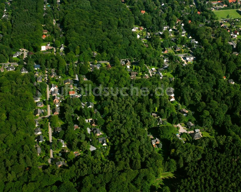 Luftaufnahme Dassendorf Siedlung - Von Wald umgebene Ortsansicht in Dassendorf Siedlung im Bundesland Schleswig-Holstein, Deutschland