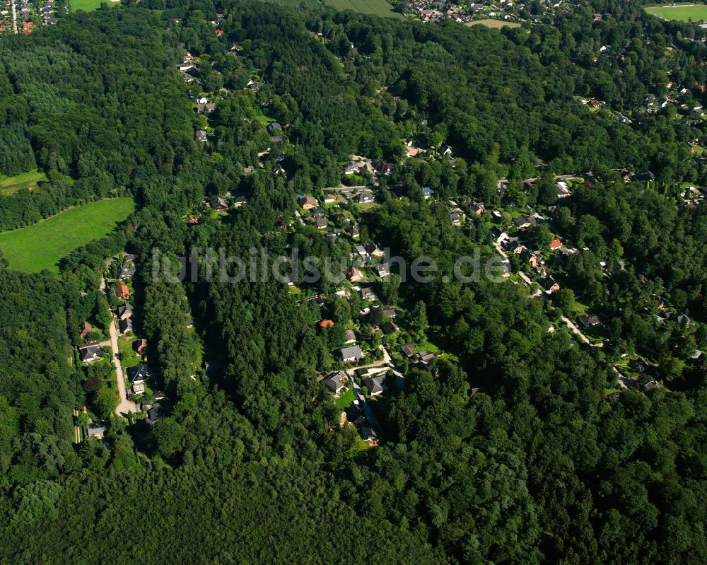 Dassendorf Siedlung von oben - Von Wald umgebene Ortsansicht in Dassendorf Siedlung im Bundesland Schleswig-Holstein, Deutschland