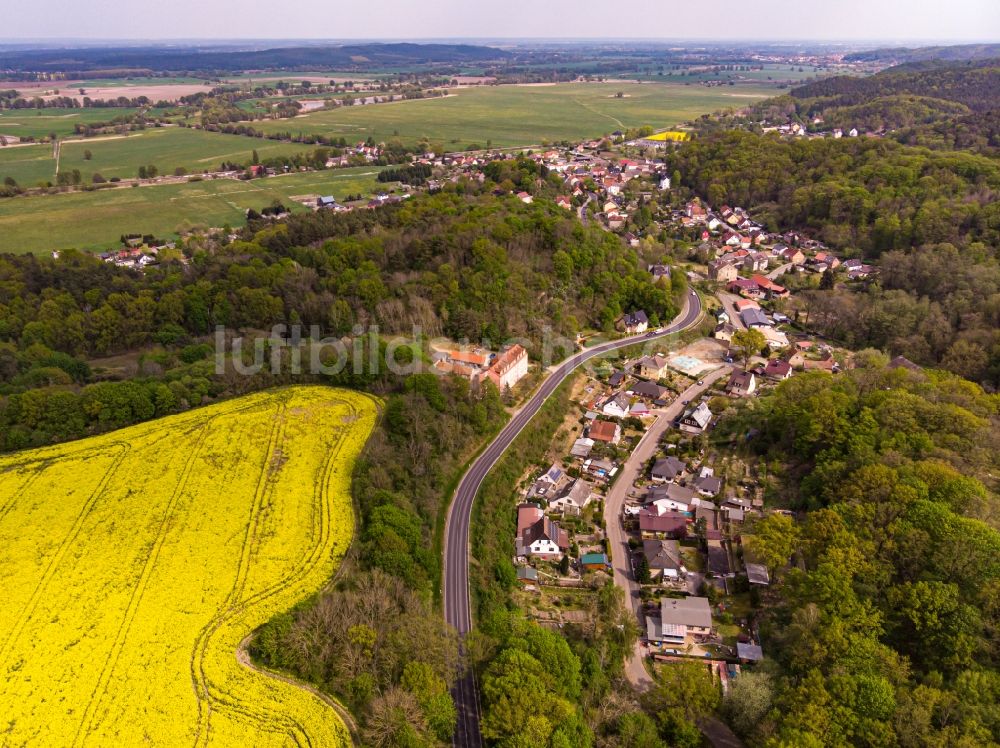 Luftaufnahme Falkenberg - Von Wald umgebene Ortsansicht in Falkenberg im Bundesland Brandenburg, Deutschland