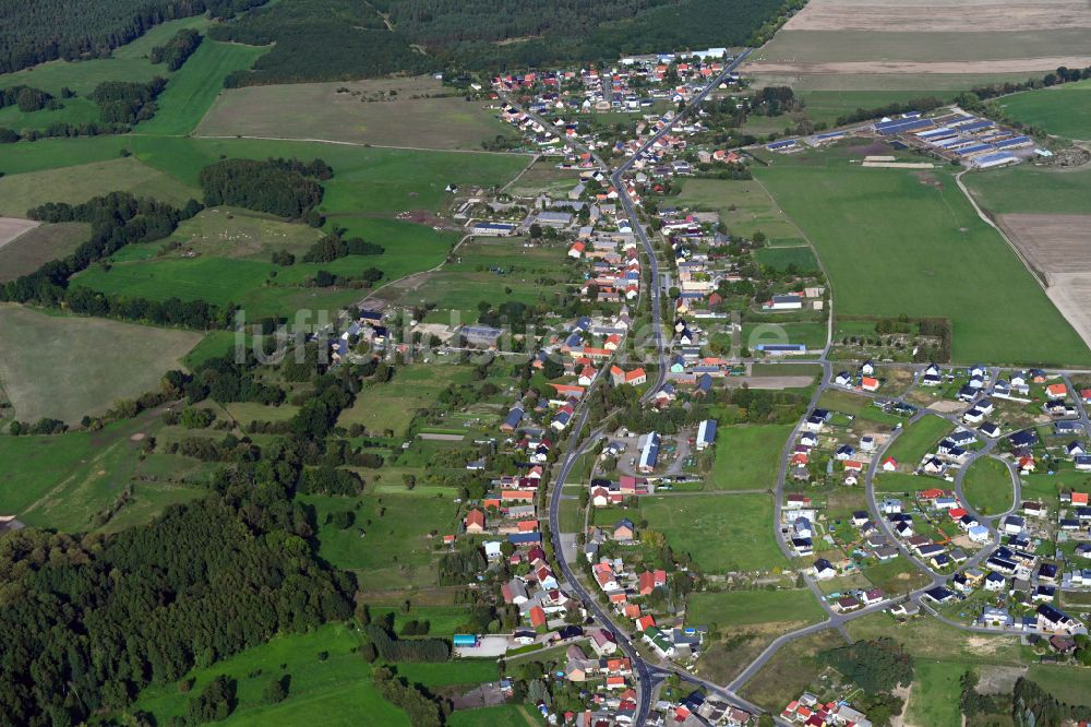 Luftaufnahme Grüneberg - Von Wald umgebene Ortsansicht in Grüneberg im Bundesland Brandenburg, Deutschland
