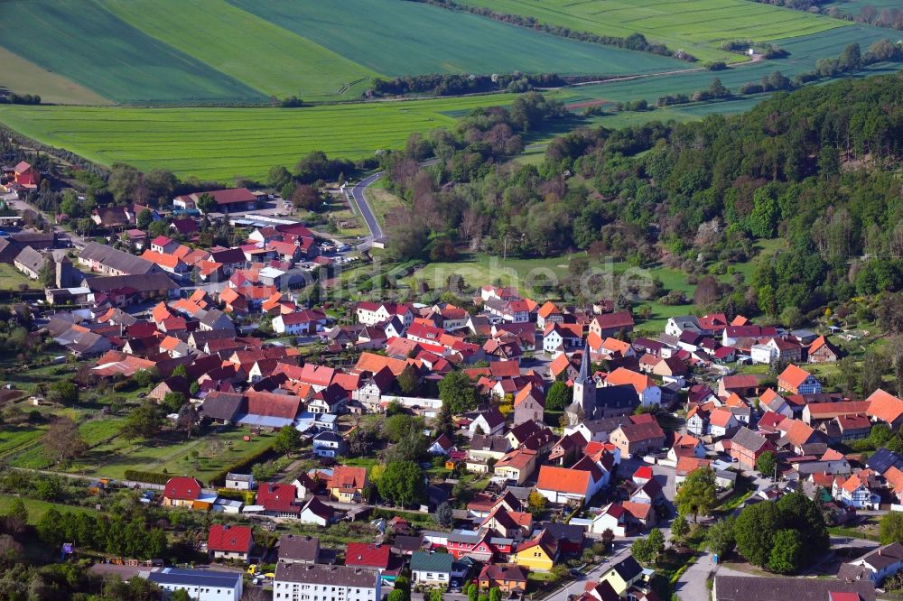Großleinungen von oben - Von Wald umgebene Ortsansicht in Großleinungen im Bundesland Sachsen-Anhalt, Deutschland