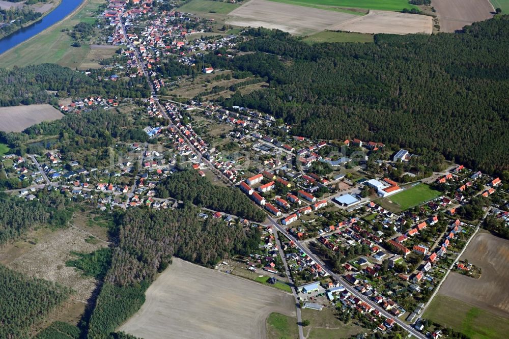 Güsen aus der Vogelperspektive: Von Wald umgebene Ortsansicht in Güsen im Bundesland Sachsen-Anhalt, Deutschland