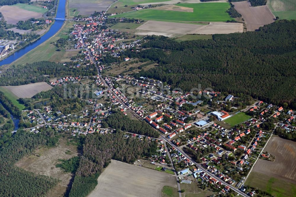 Luftbild Güsen - Von Wald umgebene Ortsansicht in Güsen im Bundesland Sachsen-Anhalt, Deutschland