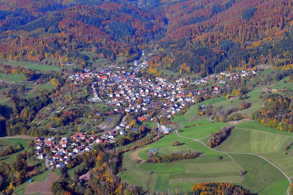Luftaufnahme Hasel - Von Wald umgebene Ortsansicht in Hasel im Bundesland Baden-Württemberg, Deutschland