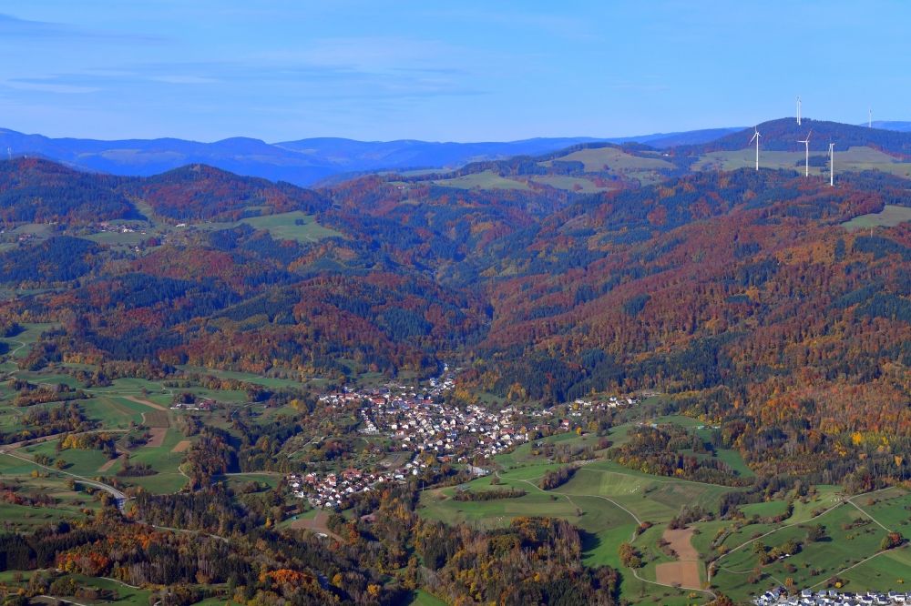 Hasel aus der Vogelperspektive: Von Wald umgebene Ortsansicht in Hasel im Bundesland Baden-Württemberg, Deutschland