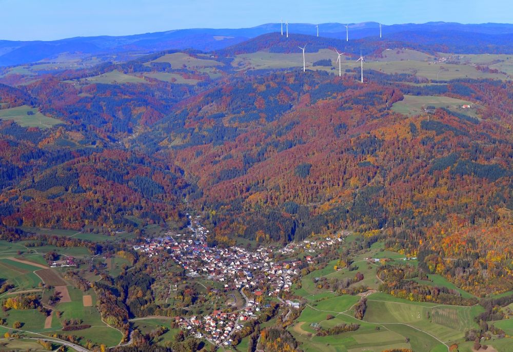 Luftbild Hasel - Von Wald umgebene Ortsansicht in Hasel im Bundesland Baden-Württemberg, Deutschland