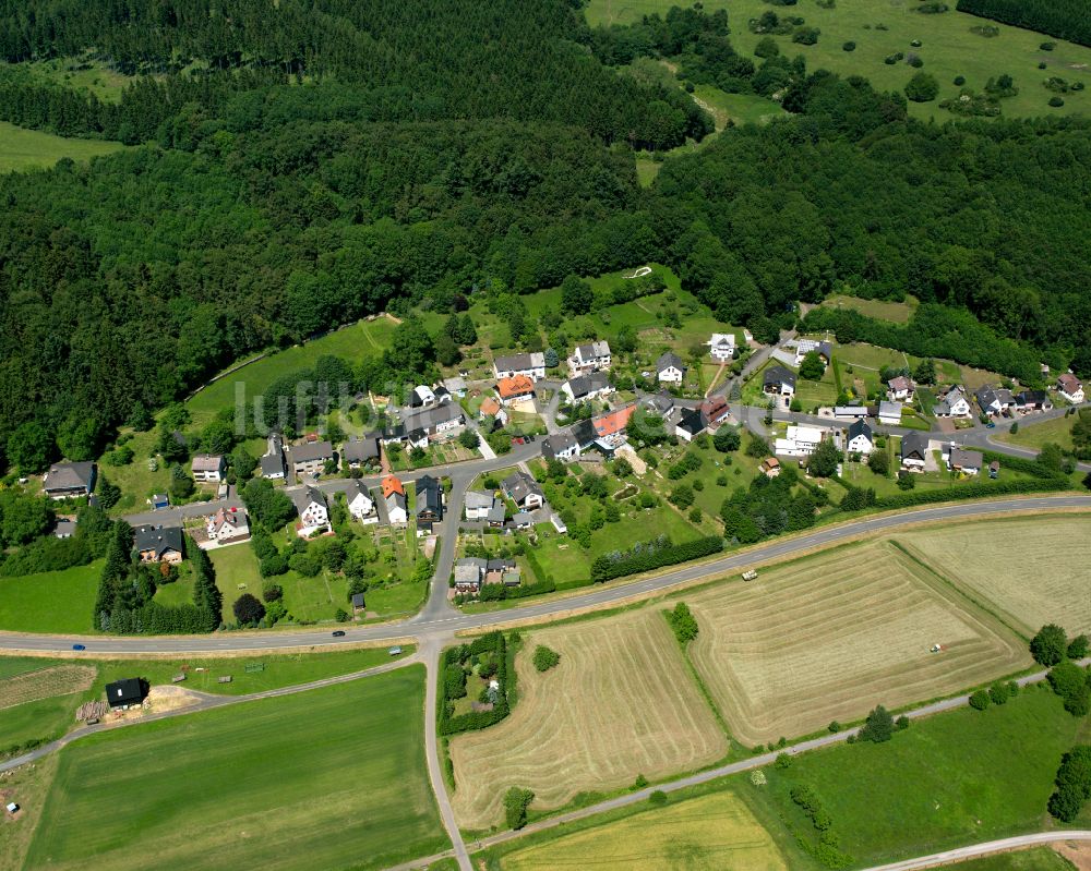 Heiligenborn aus der Vogelperspektive: Von Wald umgebene Ortsansicht in Heiligenborn im Bundesland Hessen, Deutschland