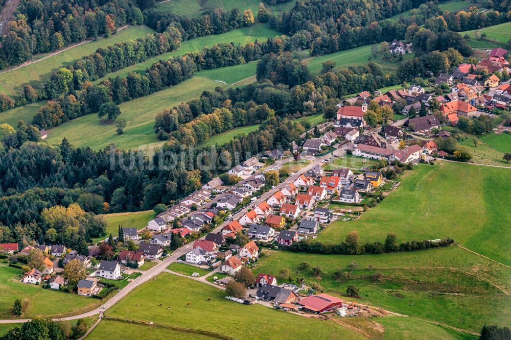 Luftaufnahme Horben - Von Wald umgebene Ortsansicht in Horben im Bundesland Baden-Württemberg, Deutschland