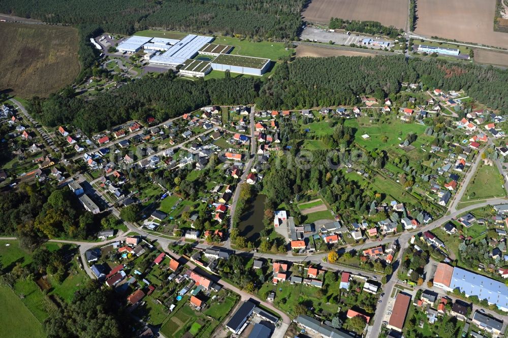 Klieken aus der Vogelperspektive: Von Wald umgebene Ortsansicht in Klieken im Bundesland Sachsen-Anhalt, Deutschland