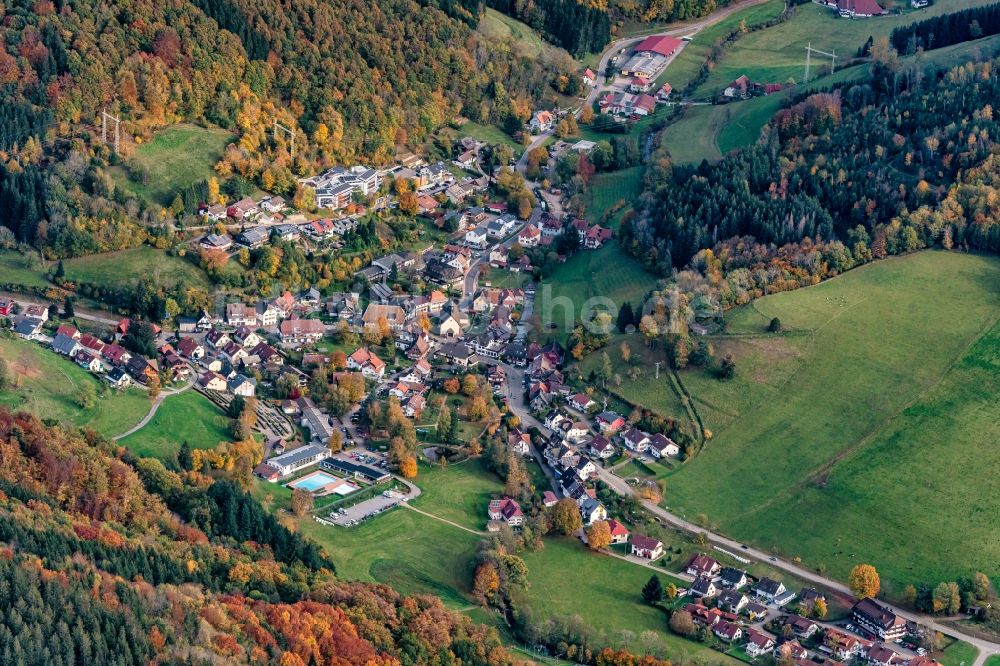 Luftbild Oberprechtal - Von Wald umgebene Ortsansicht in Oberprechtal im Bundesland Baden-Württemberg, Deutschland