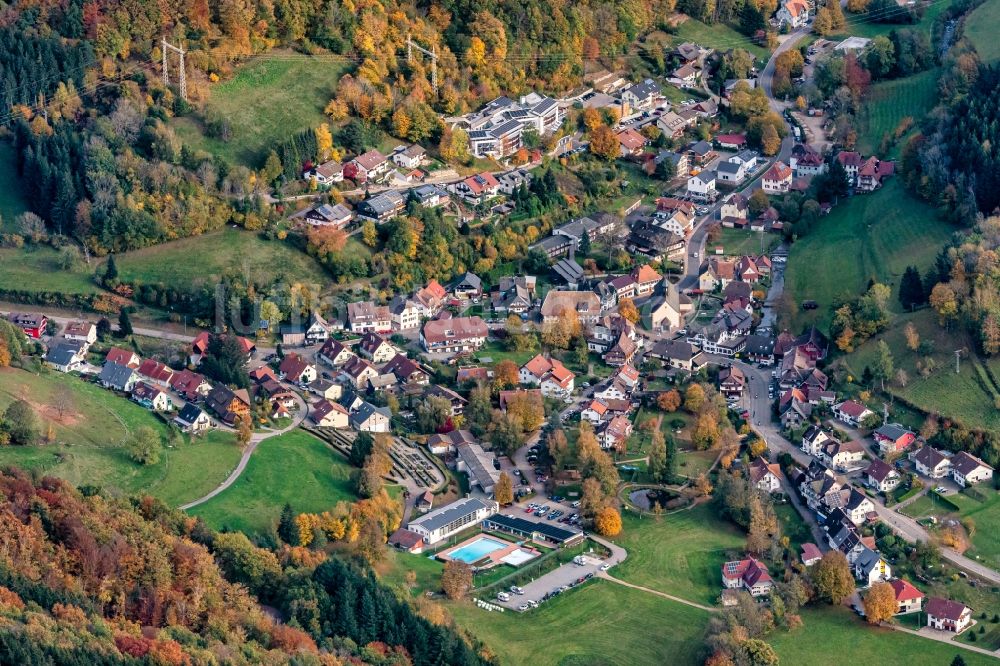 Luftaufnahme Oberprechtal - Von Wald umgebene Ortsansicht in Oberprechtal im Bundesland Baden-Württemberg, Deutschland