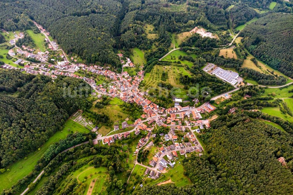 Luftbild Schwanheim - Von Wald umgebene Ortsansicht in Schwanheim im Bundesland Rheinland-Pfalz, Deutschland