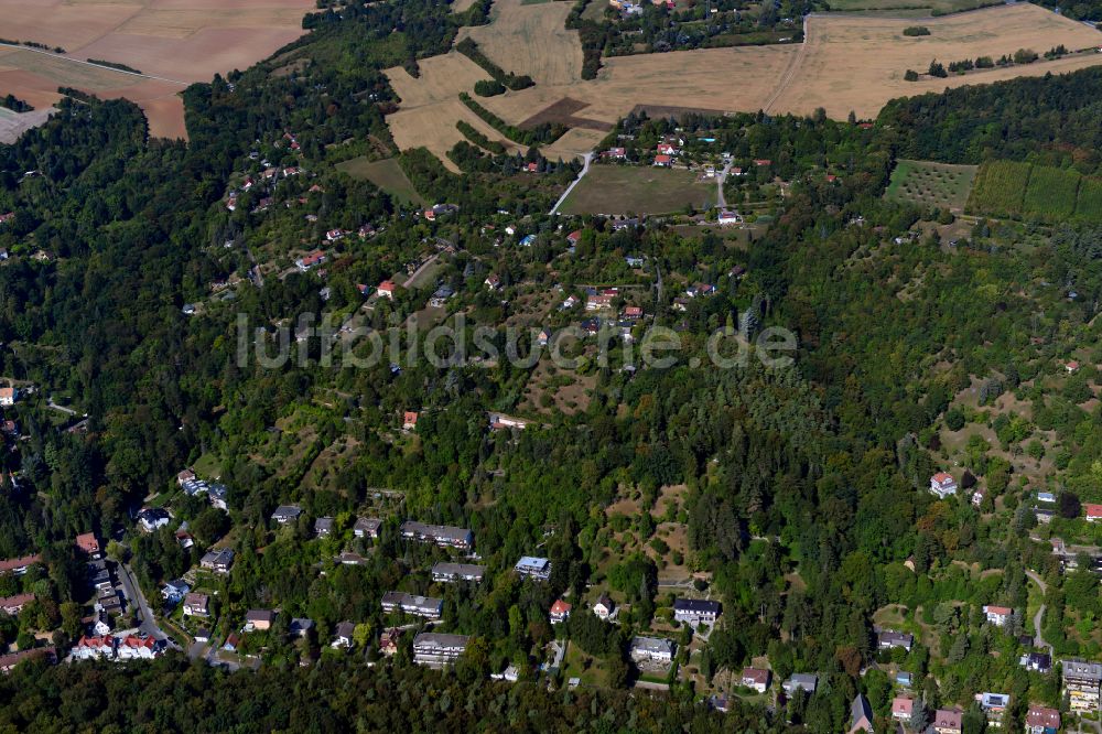 Steinbachtal aus der Vogelperspektive: Von Wald umgebene Ortsansicht in Steinbachtal im Bundesland Bayern, Deutschland