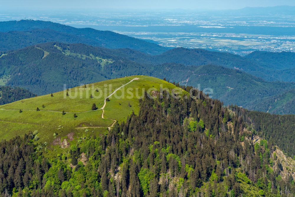 Luftbild Schönenberg - Wald und Berglandschaft am Belchen im Schwarzwald in Schönenberg im Bundesland Baden-Württemberg, Deutschland