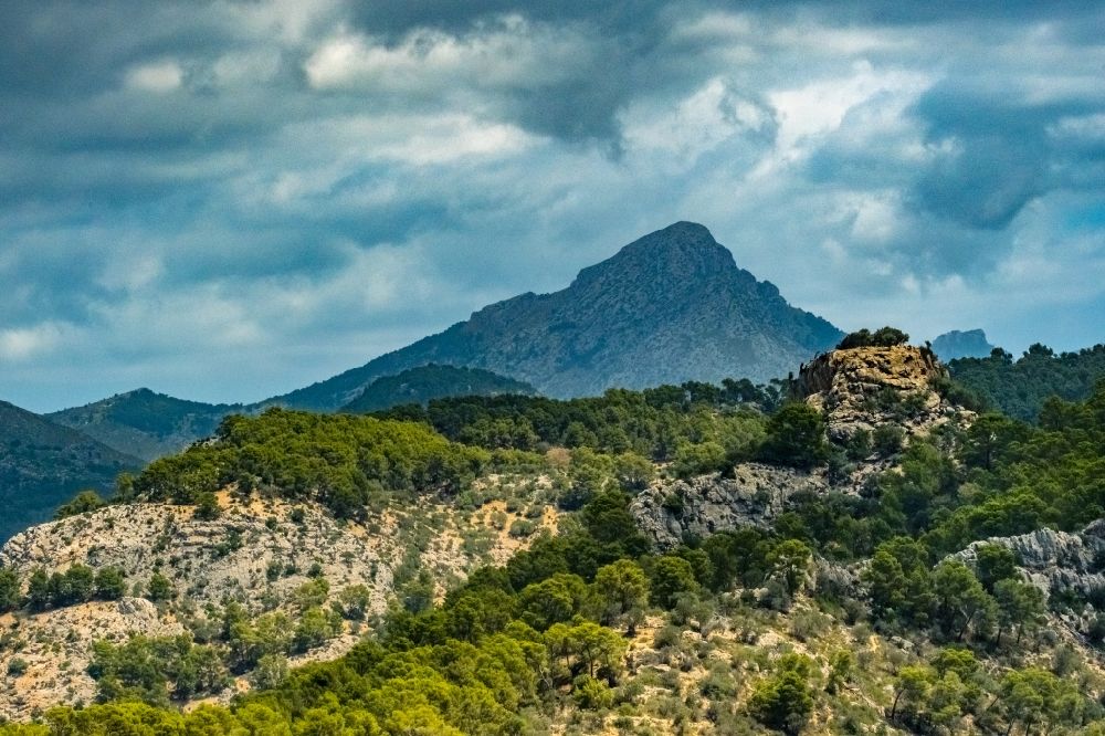 Calvia von oben - Wald und Berglandschaft mit Blick auf die felsige Spitze des Puig de Galatzó in Calvia in Balearische Inseln, Spanien