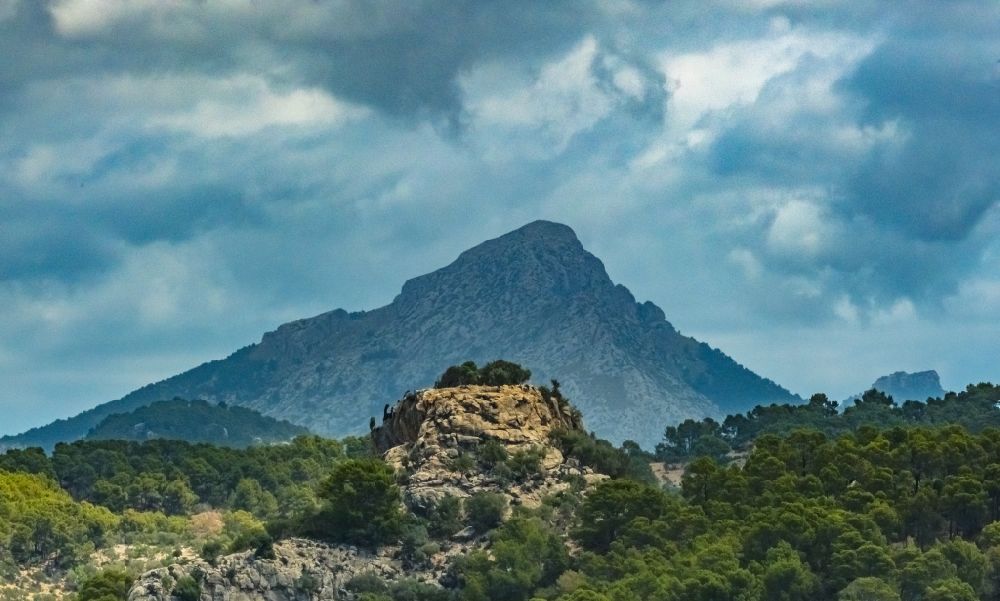 Calvia aus der Vogelperspektive: Wald und Berglandschaft mit Blick auf die felsige Spitze des Puig de Galatzó in Calvia in Balearische Inseln, Spanien