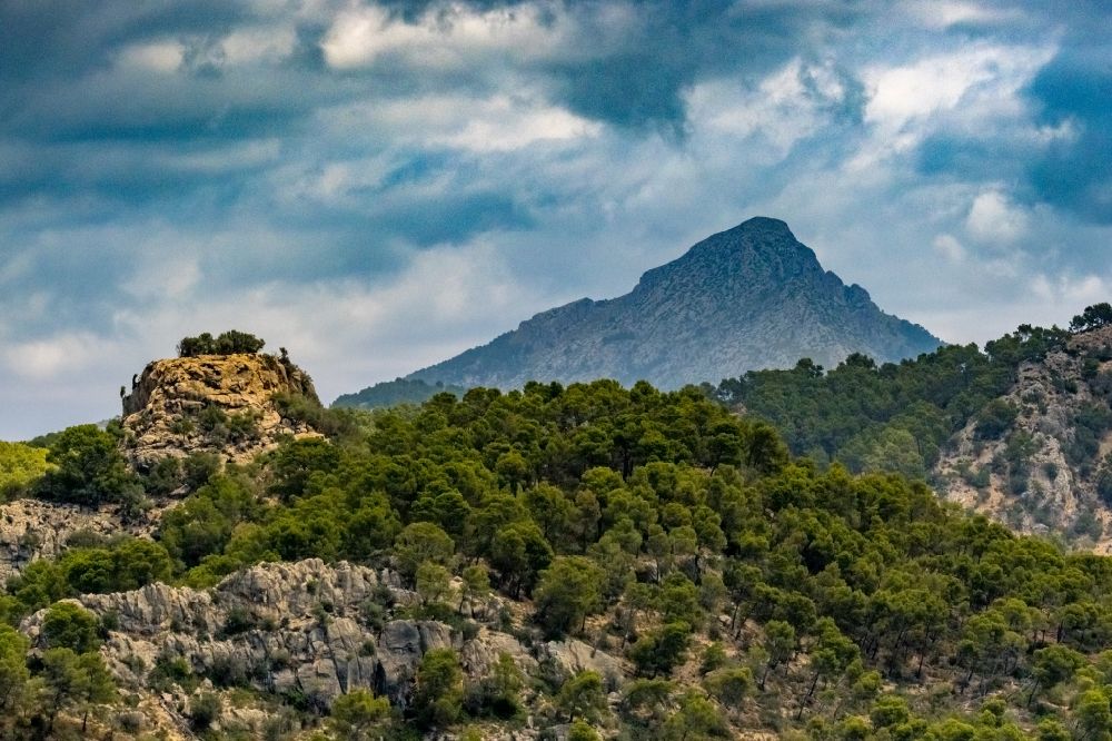 Luftbild Calvia - Wald und Berglandschaft mit Blick auf die felsige Spitze des Puig de Galatzó in Calvia in Balearische Inseln, Spanien