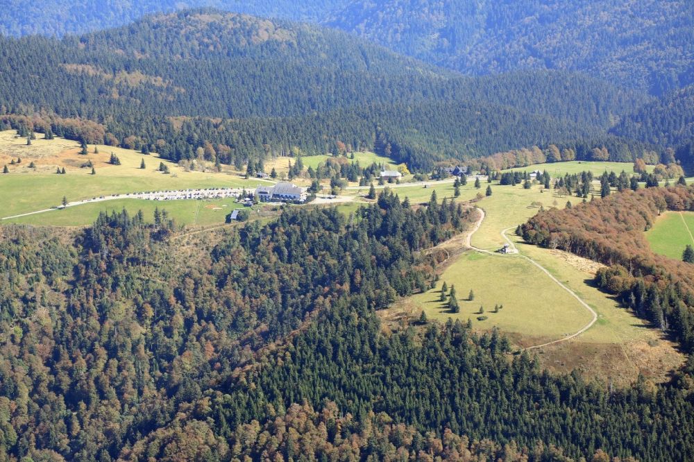 Luftaufnahme Sankt Peter - Wald und Berglandschaft am Gipfel des Kandel in Sankt Peter im Bundesland Baden-Württemberg