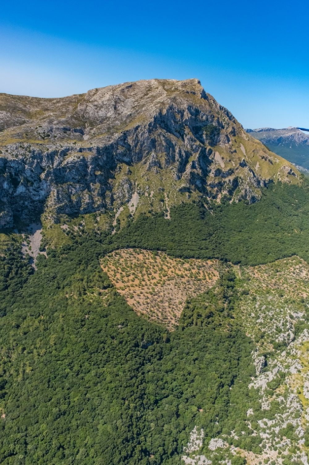 Luftaufnahme Pollenca - Wald und Berglandschaft mit einer kahlen Fläche in Pollenca in Balearische Inseln, Spanien