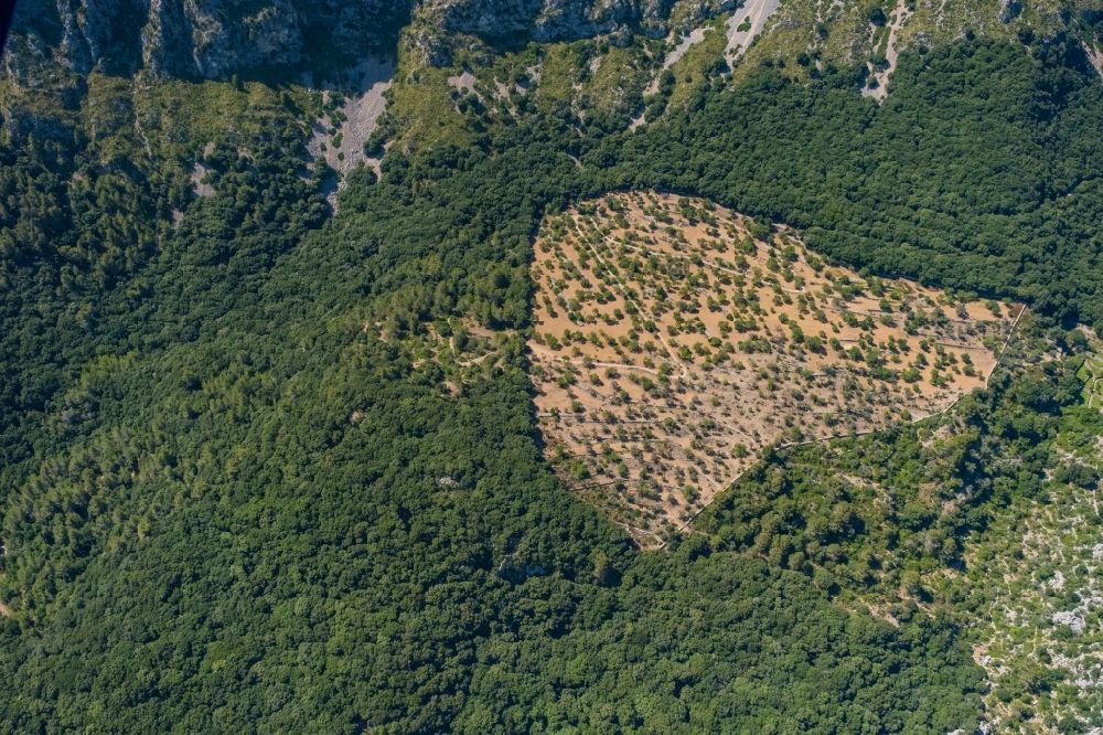 Luftbild Pollenca - Wald und Berglandschaft mit einer kahlen Fläche in Pollenca in Balearische Inseln, Spanien