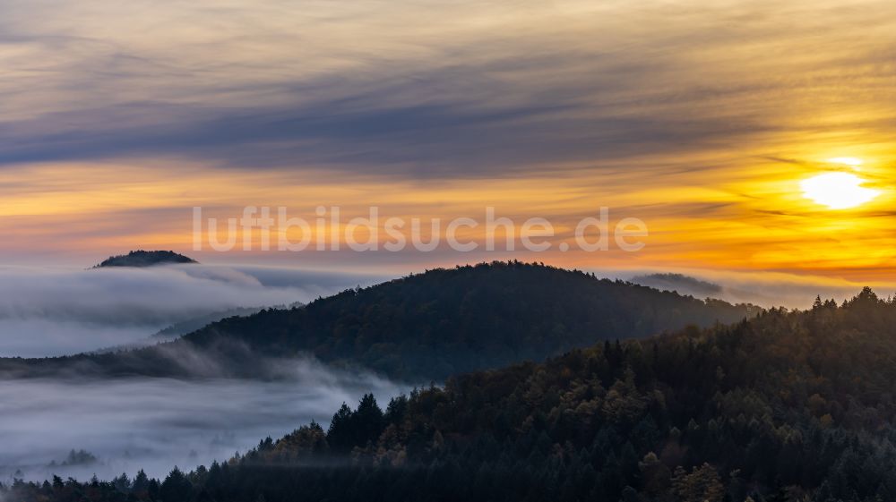 Luftbild Lindelbrunn - Wald und Berglandschaft in Lindelbrunn im Bundesland Rheinland-Pfalz, Deutschland